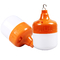Rechargeable DC Emergency LED Bulb Light For Fishing Camping With Battery